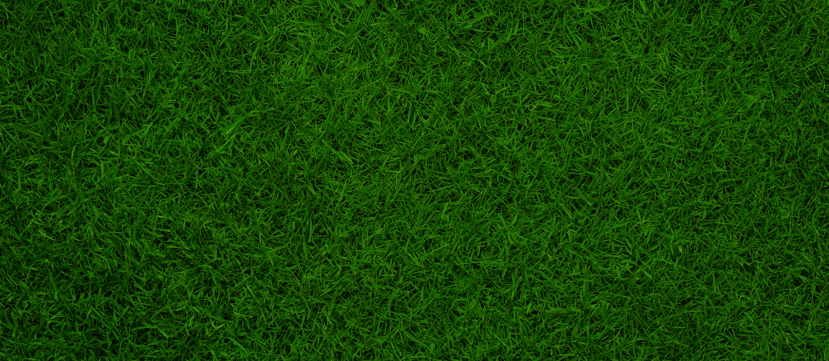 Grass Background Image